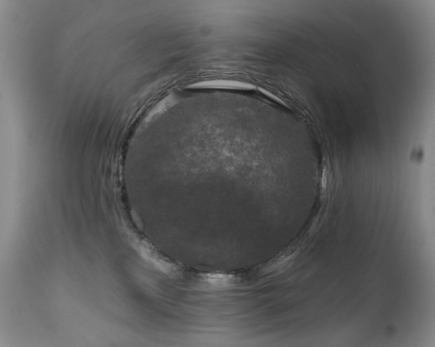 X0000111160233200906301408