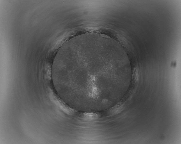 X0000111160234200906301408