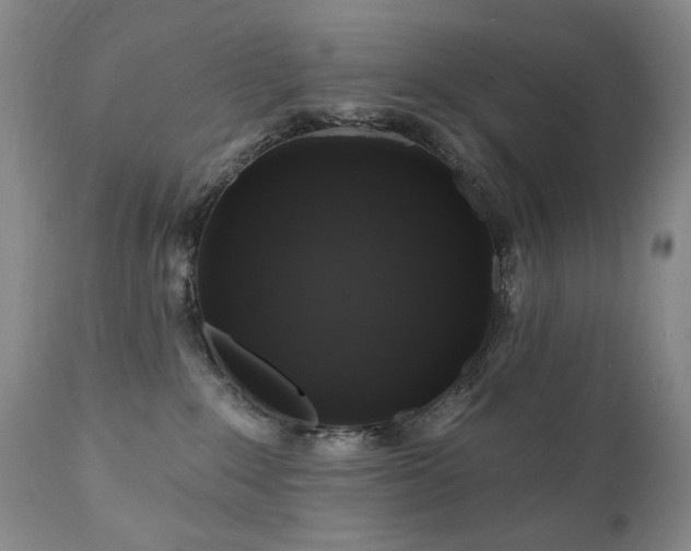 X0000111160235200906301408