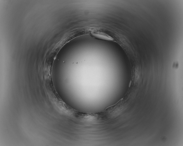 X0000111160236200906301408