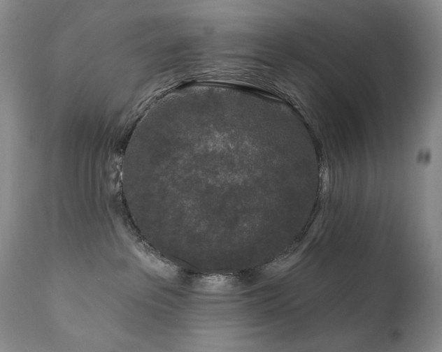 X0000111160237200906301408