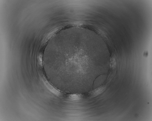X0000111160238200906301408
