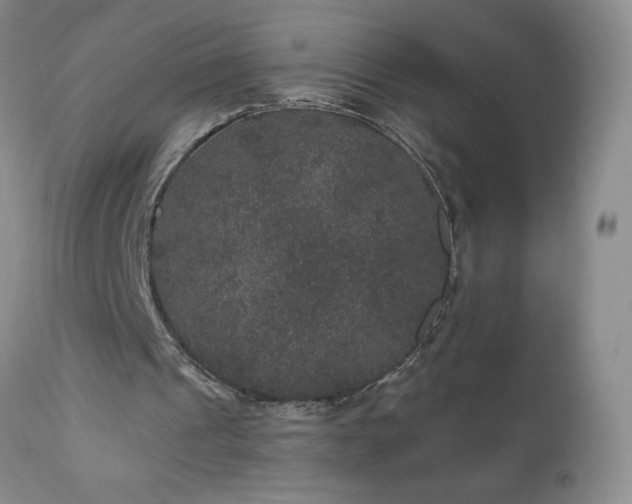 X0000111160241200906301407