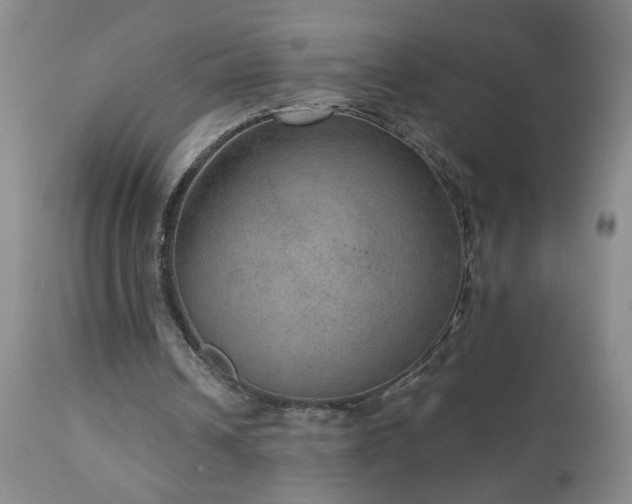 X0000111160242200906301407
