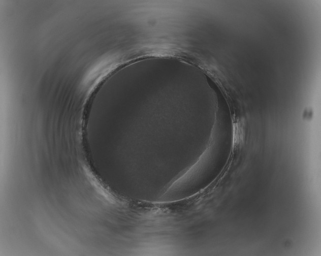 X0000111160243200906301407