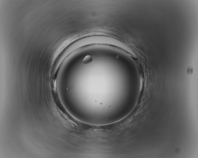 X0000111160244200906301407