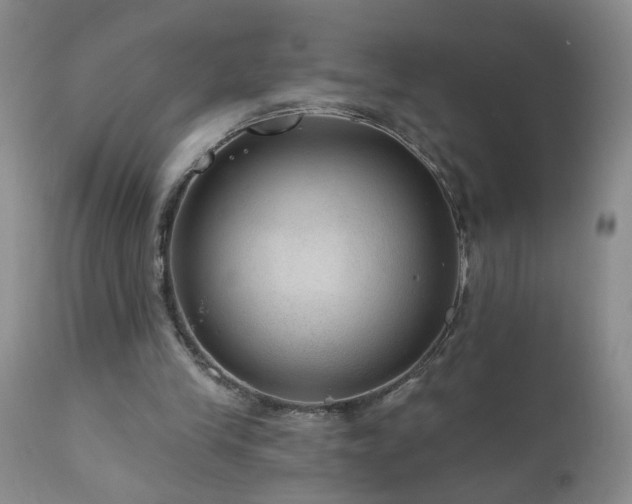 X0000111160245200906301407