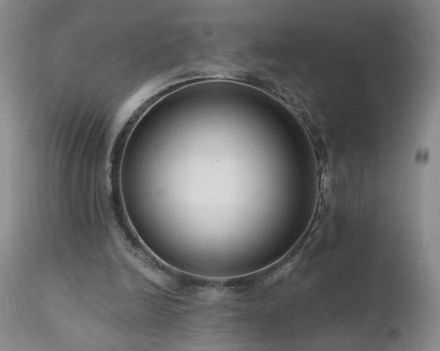 X0000111160246200906301407