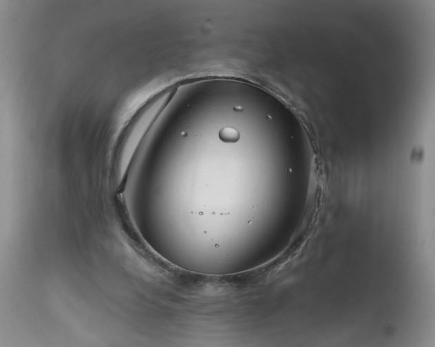X0000111160248200906301407