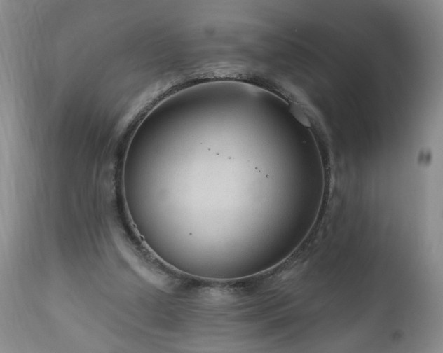 X0000111160250200906301407