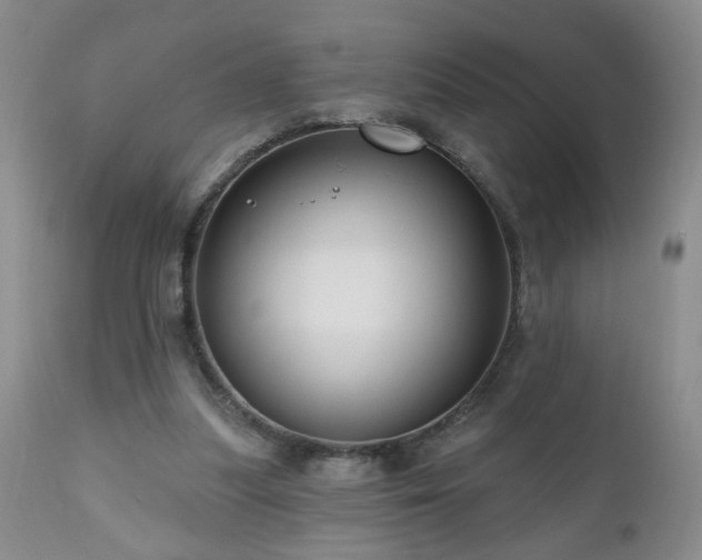 X0000111160251200906301407