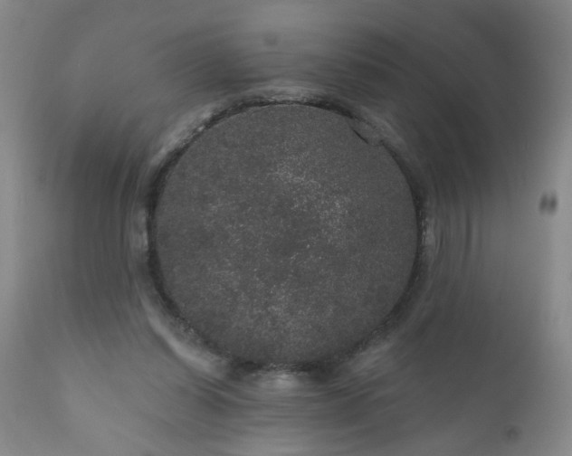 X0000111160254200906301407