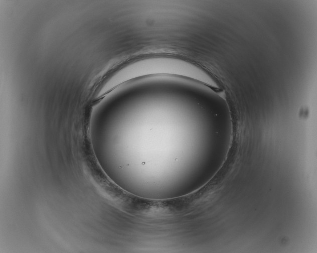 X0000111160256200906301407