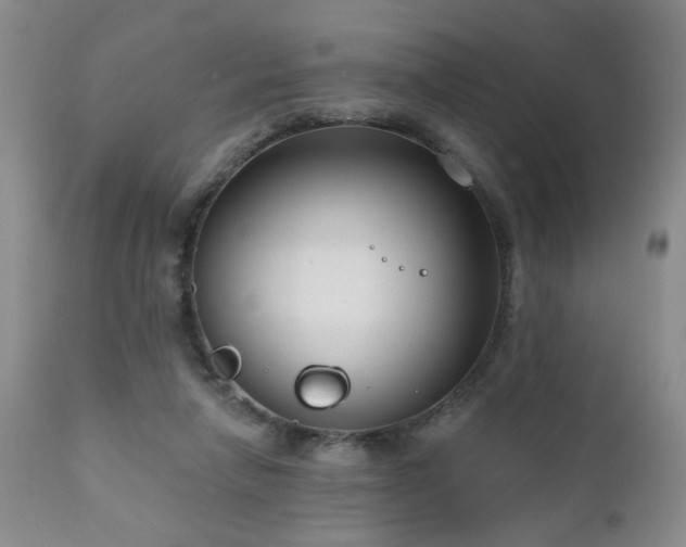 X0000111160258200906301407