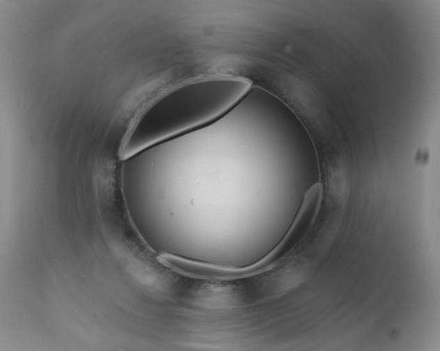 X0000111160260200906301407