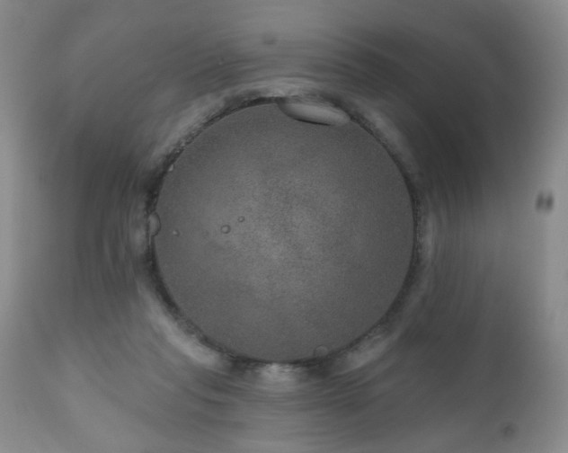 X0000111160261200906301407