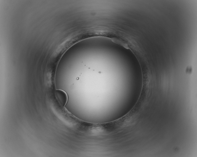 X0000111160262200906301407