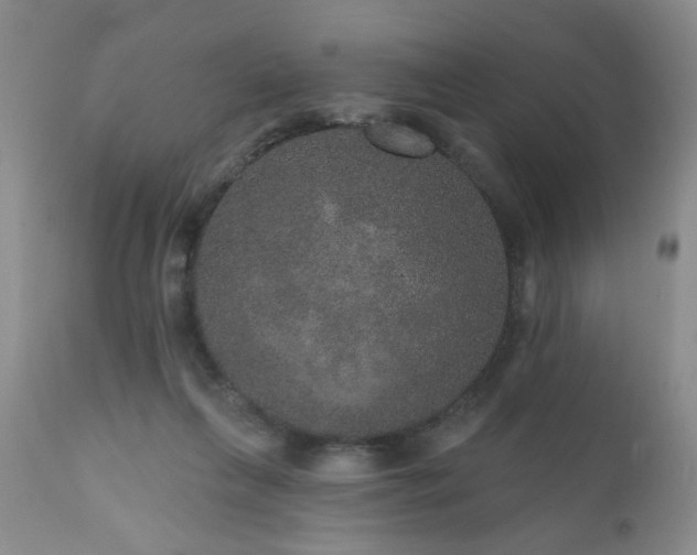 X0000111160263200906301407