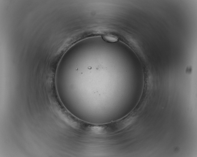 X0000111160265200906301407