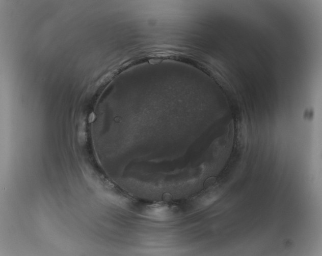 X0000111160267200906301407