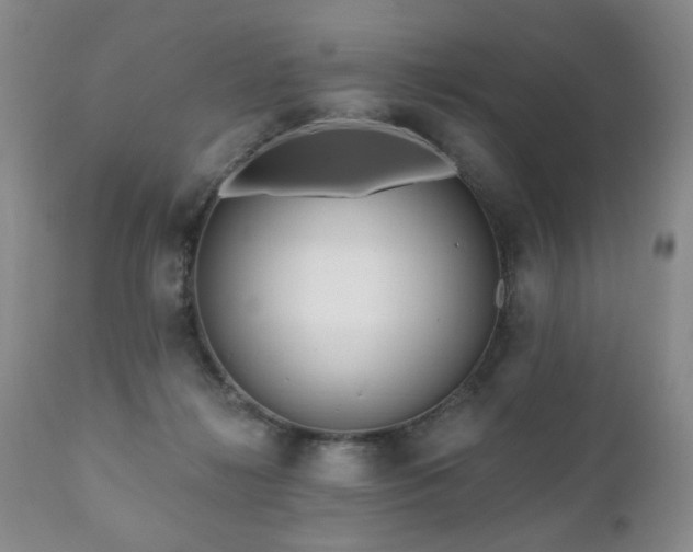 X0000111160268200906301407