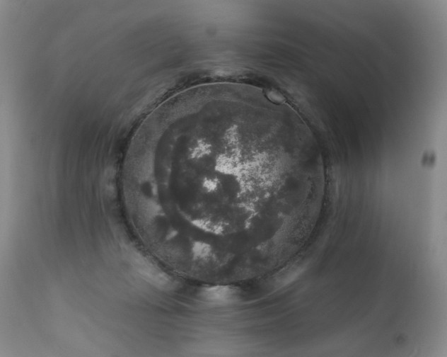 X0000111160269200906301407