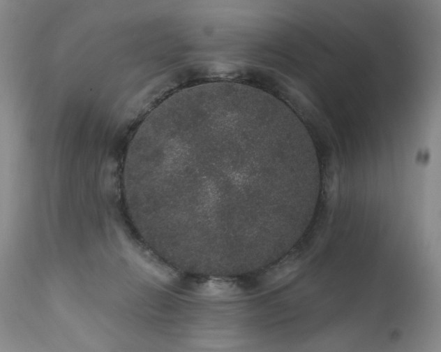 X0000111160270200906301407