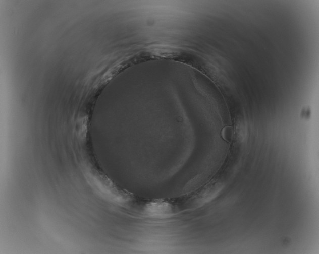 X0000111160271200906301407