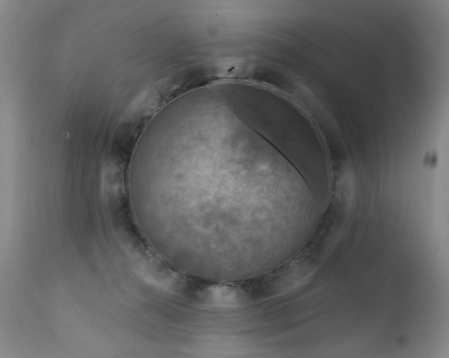 X0000111160272200906301408