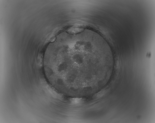 X0000111160273200906301408