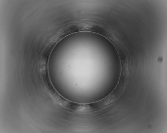 X0000111160274200906301408