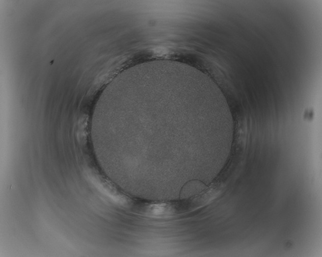 X0000111160275200906301408