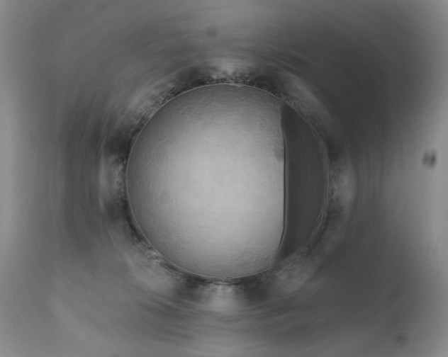 X0000111160276200906301408
