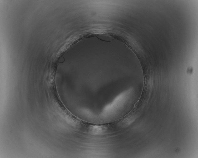 X0000111160277200906301408