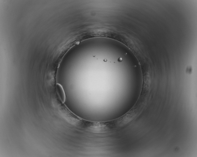 X0000111160278200906301408