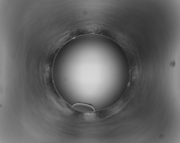 X0000111160279200906301408