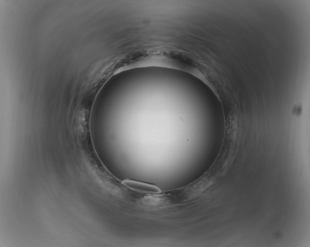 X0000111160280200906301408