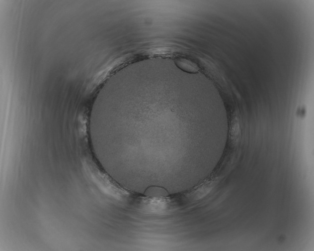 X0000111160282200906301408