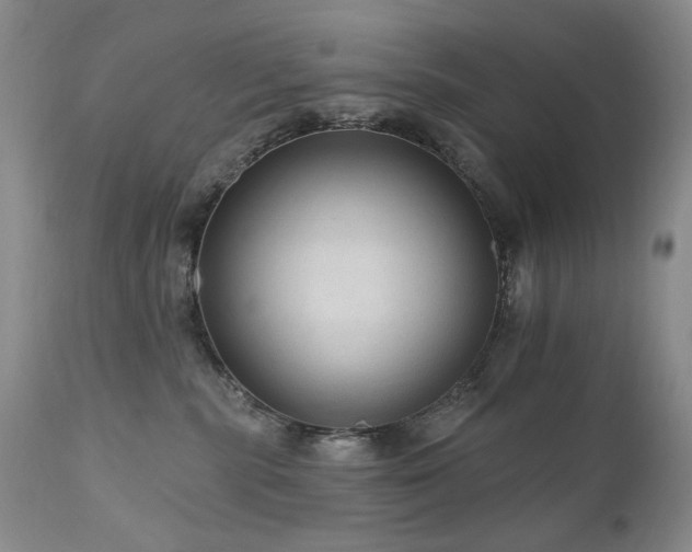 X0000111160283200906301408