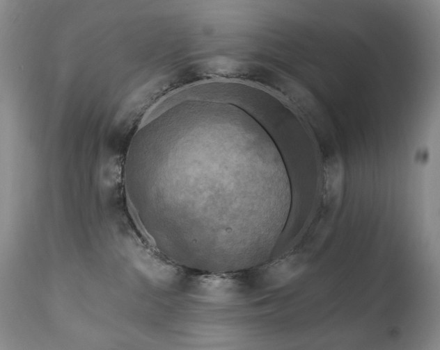 X0000111160284200906301408