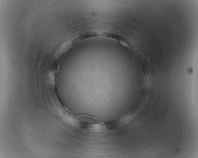 X0000111160286200906301408