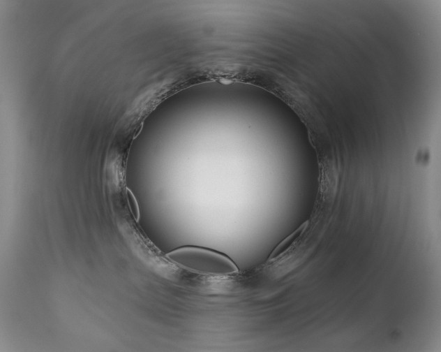 X0000111160287200906301408