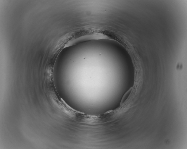X0000111160288200906301408