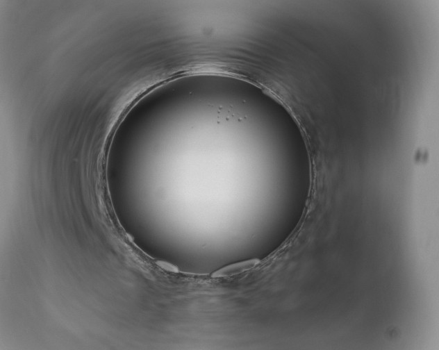 X0000111160289200906301407