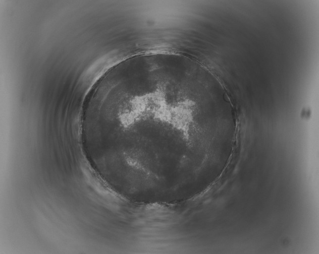 X0000111160290200906301407