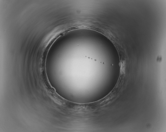 X0000111160291200906301407