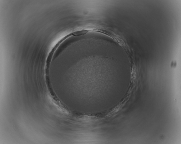 X0000111160292200906301407