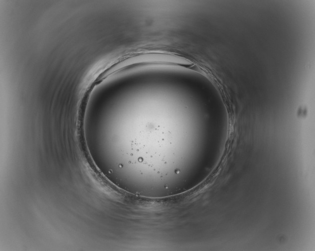 X0000111160293200906301407