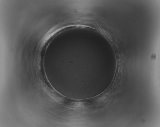 X0000111160295200906301407