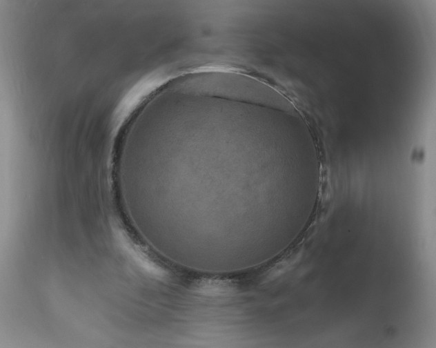 X0000111160296200906301407
